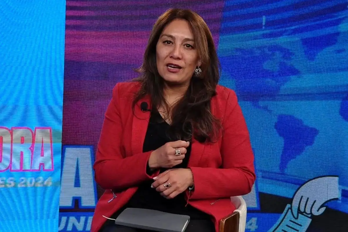 Patricia Hernández fue concejal RN, Captura