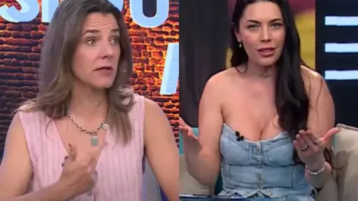 Tensa discusión entre Daniela Aránguiz y Julia Vial, Captura de redes sociales