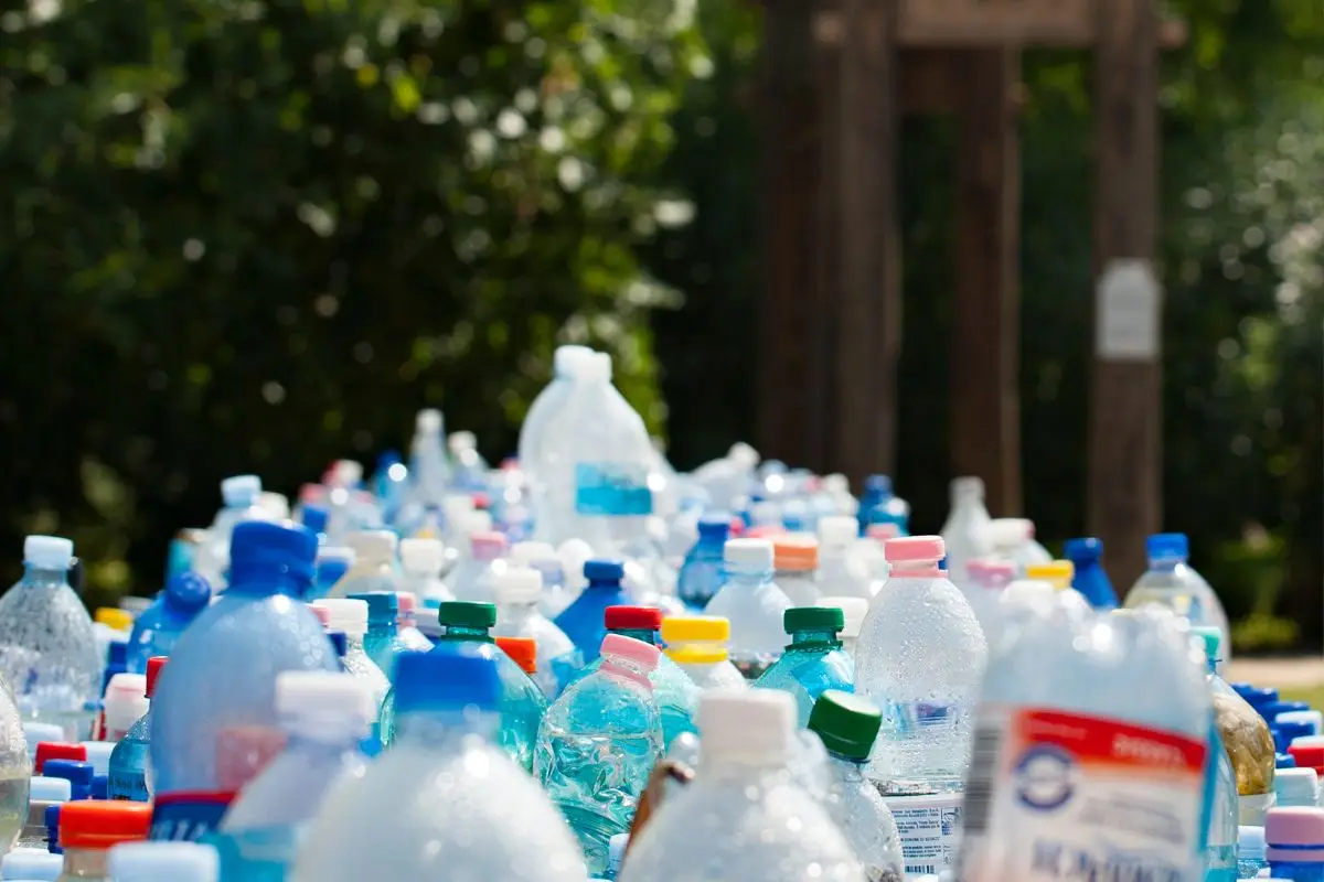 El plástico como problema planetario, Cedida