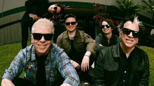 The Offspring vuelve a Chile, Redes sociales | Referencial