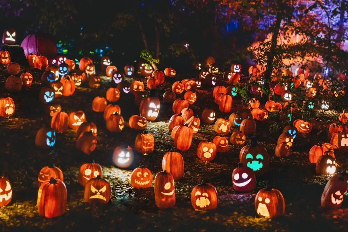 Halloween en Santiago 2024 , Redes sociales | Referencial