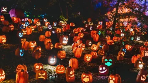 Halloween en Santiago 2024 , Redes sociales | Referencial