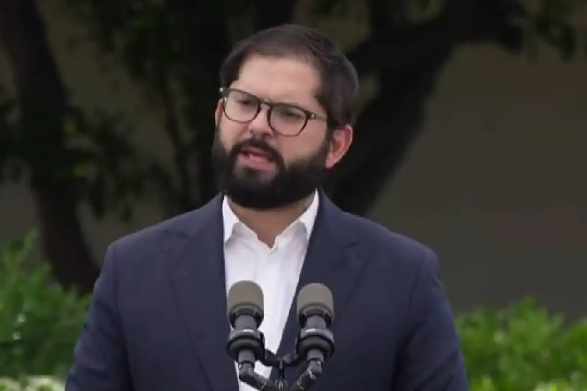 Gabriel Boric, Captura