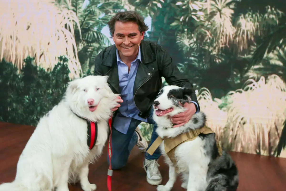 Sebastián Jiménez, TVN