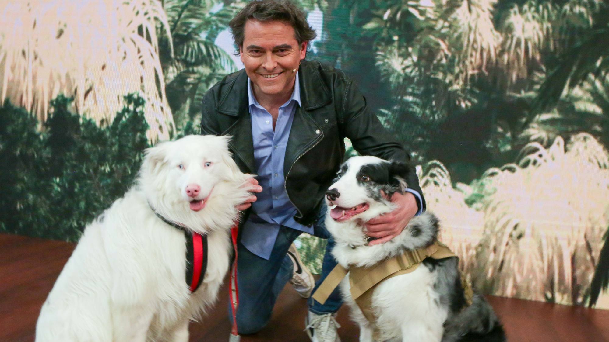 Sebastián Jiménez habla sobre su nuevo proyecto en TVN