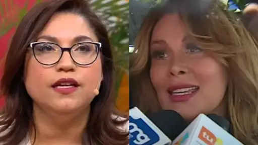 Alejandra Valle respondió a dichos de Cathy Barriga, Redes sociales | X