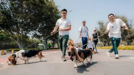 Corrida de perritos en Lo Barnechea , Cedida