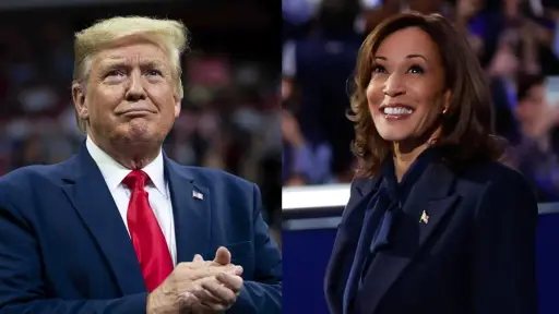 Donald Trump vs Kamala Harris, Internet