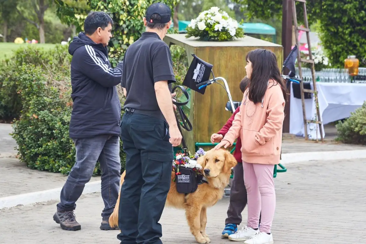 Exposición en el rubro funerario, Cedida