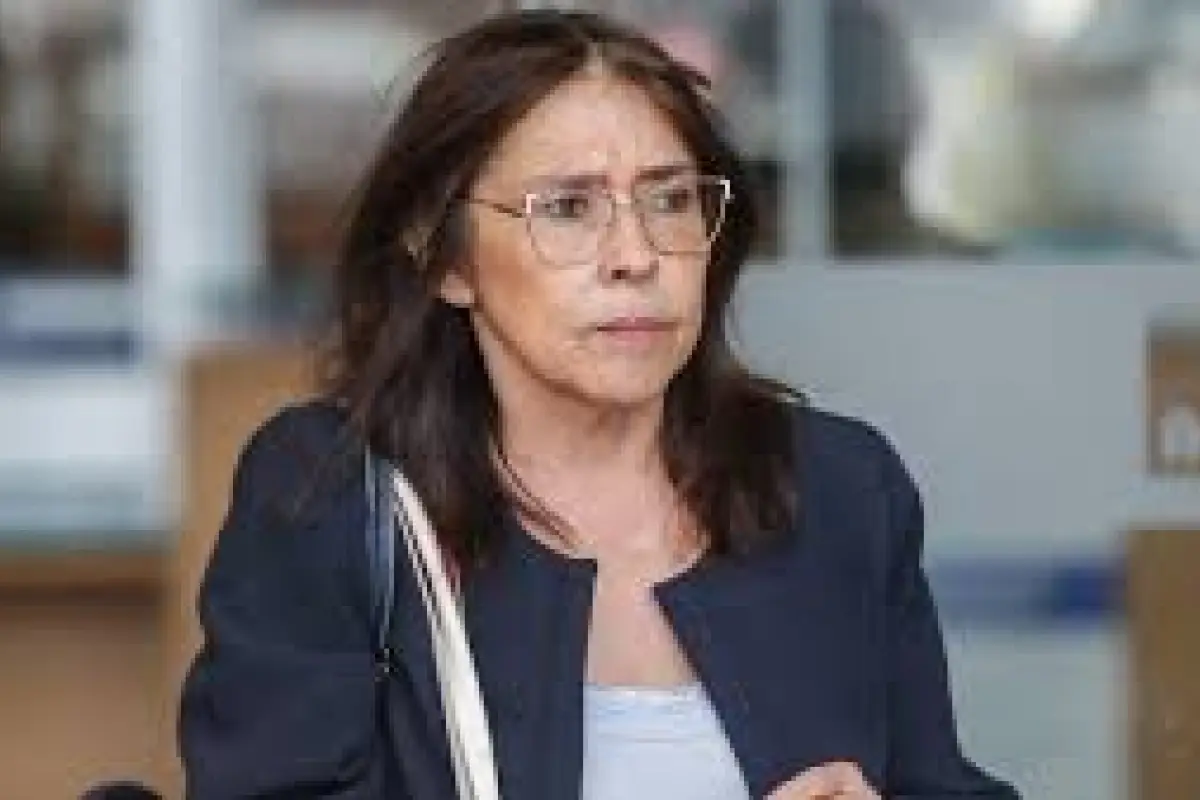 María Inés Horvitz, Redes sociales