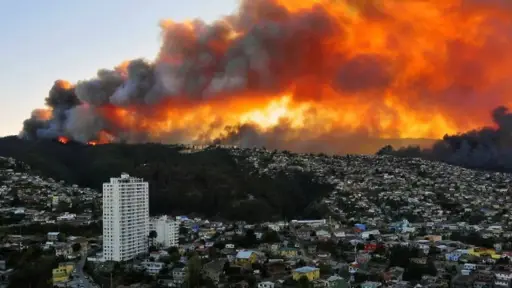 Mega incendio Valparaíso, Redes Sociales