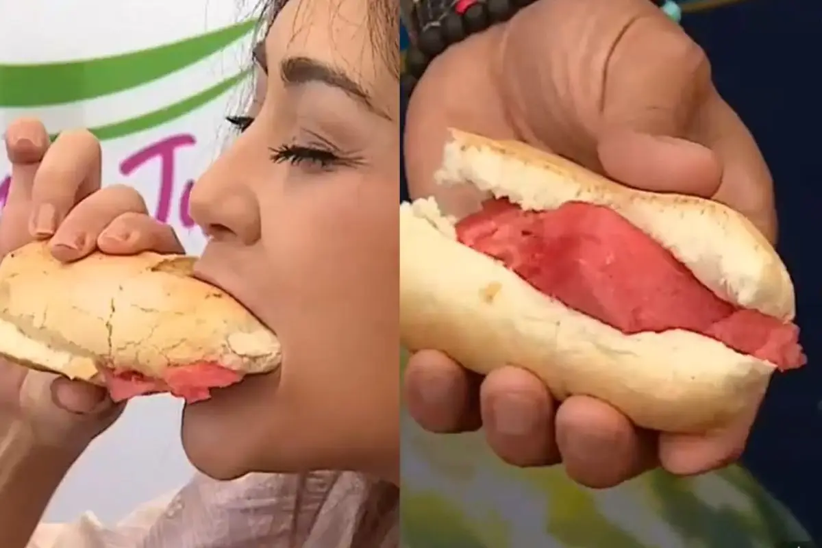 Así nació el Sandipleto de Paine, Captura