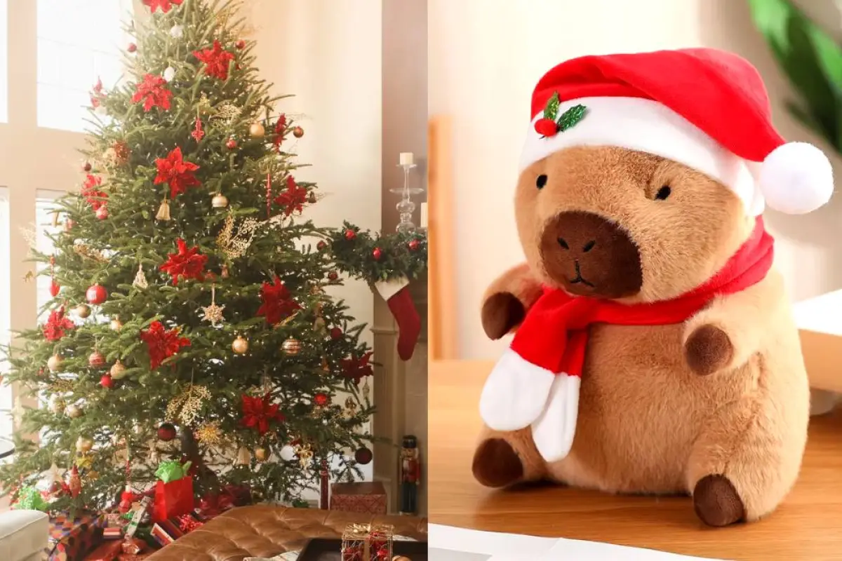 Locura por el Capibara navideño , Redes sociales | Referencial