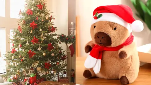 Locura por el Capibara navideño , Redes sociales | Referencial