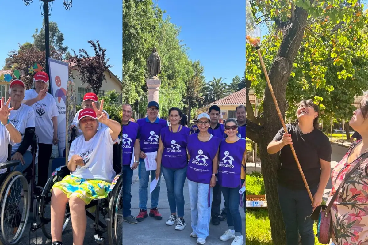 Cosecha del Damasco Inclusiva: El cierre de año del Pequeño Cottolengo con la comunidad, Cedida