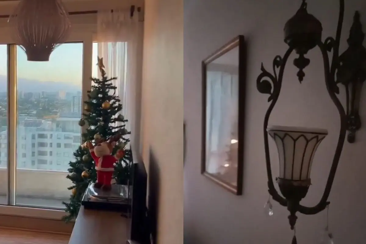 El sismo generó alarma en la zona central del país, Captura