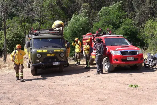 Preocupación ante posibles incendios forestales ,Cedida