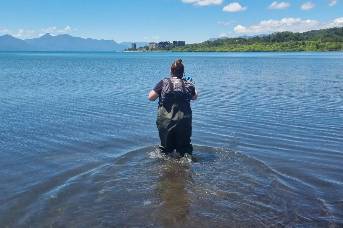 El hermoso Lago Villarrica en la ciudad de Pucón, Twitter