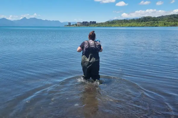 El hermoso Lago Villarrica en la ciudad de Pucón ,Twitter