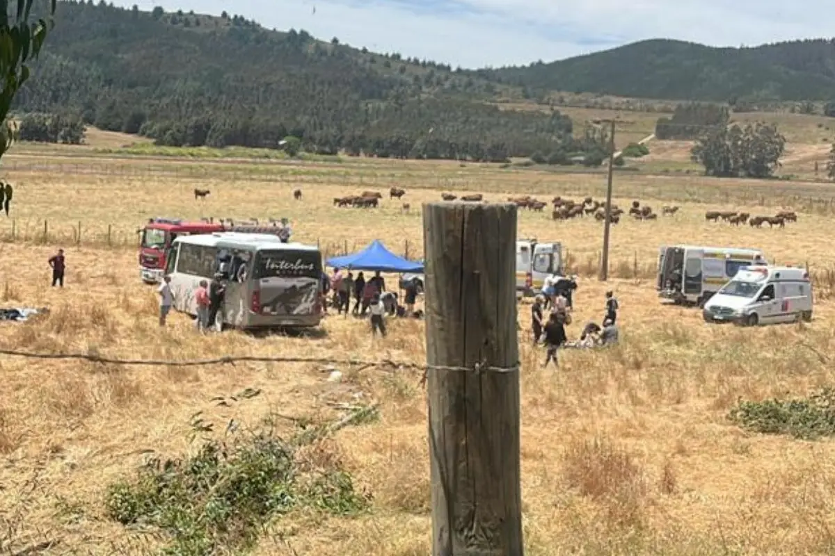 El bus volcó entre las localidades de Linares y Pichilemu, Twitter