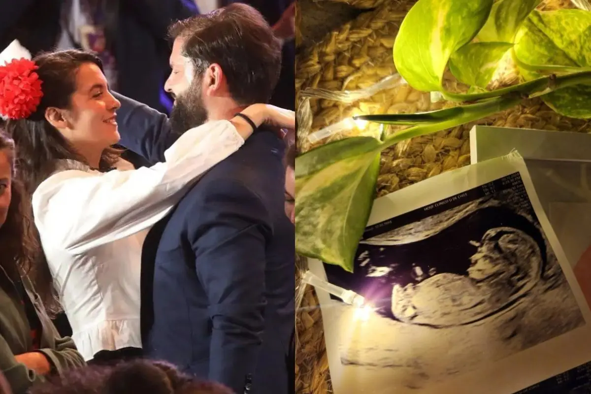 Gabriel Boric será padre por primera vez, Captura