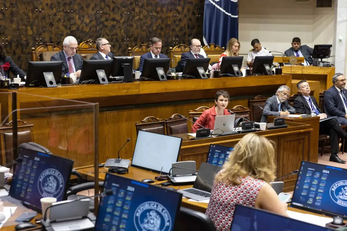 Creación del Ministerio de Seguridad , Senado