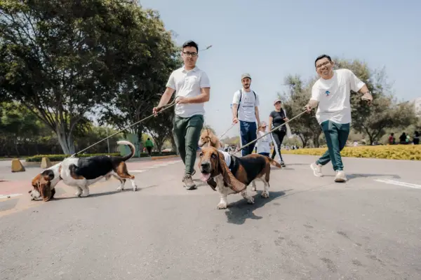 Corrida con perritos  ,Cedida