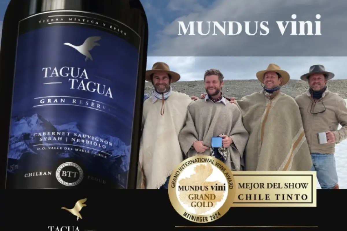 Viña Tagua Tagua, Cedida