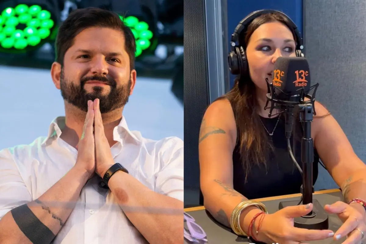 Denisse Malebrán expresó su incomodidad con el Gobierno, Captura