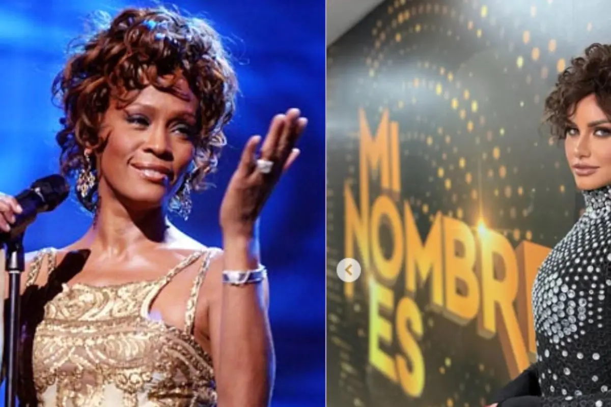 Emilia Dides y Whitney Houston, Redes sociales