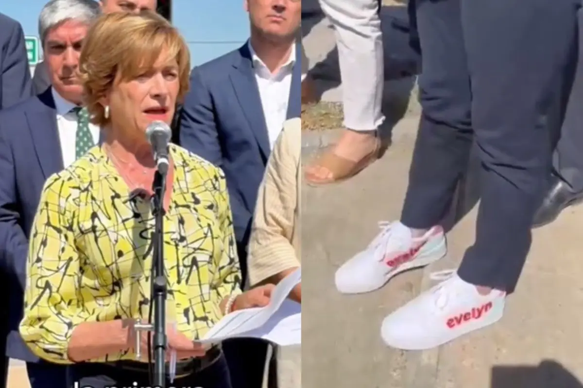 Evelyn Matthei en busca de La Moneda, Captura