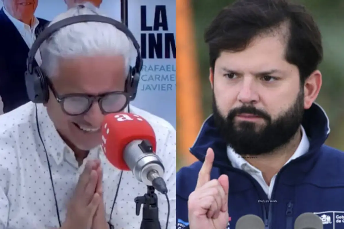 Pablo Herrera y Gabriel Boric