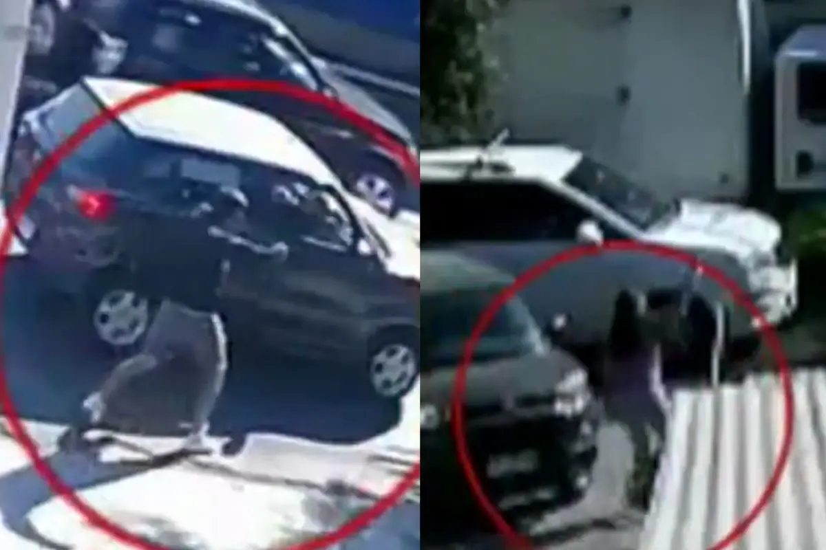Imágenes del asalto y crimen en caletera Vespucio Norte, Captura