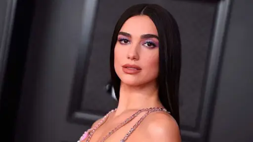 Dua Lipa, Redes sociales