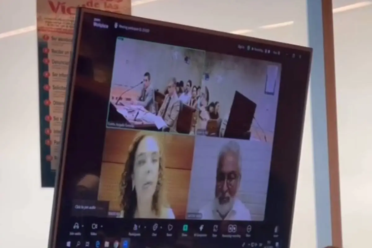 Audiencia de Luis Hermosilla, ADN