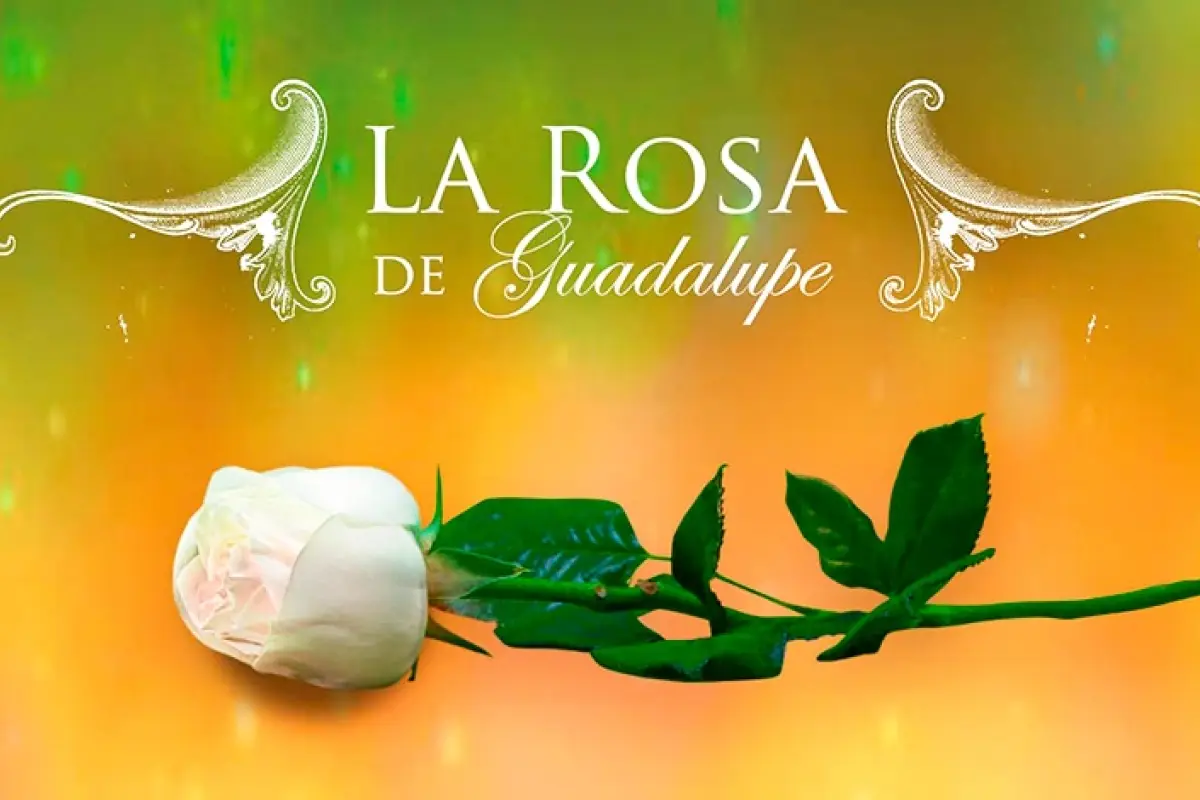 La rosa de Guadalupe , Redes sociales 