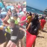 Violenta riña en concurrida playa de Viña del Mar, Captura