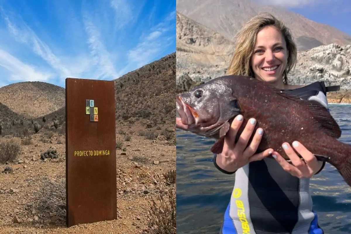 El proyector portuario Dominga sufrió un nuevo revés, Instagram