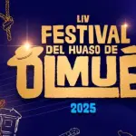 Festival de Olmué 2025, Redes Sociales