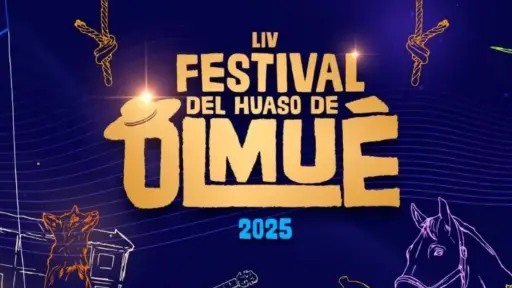 Festival de Olmué 2025, Redes Sociales