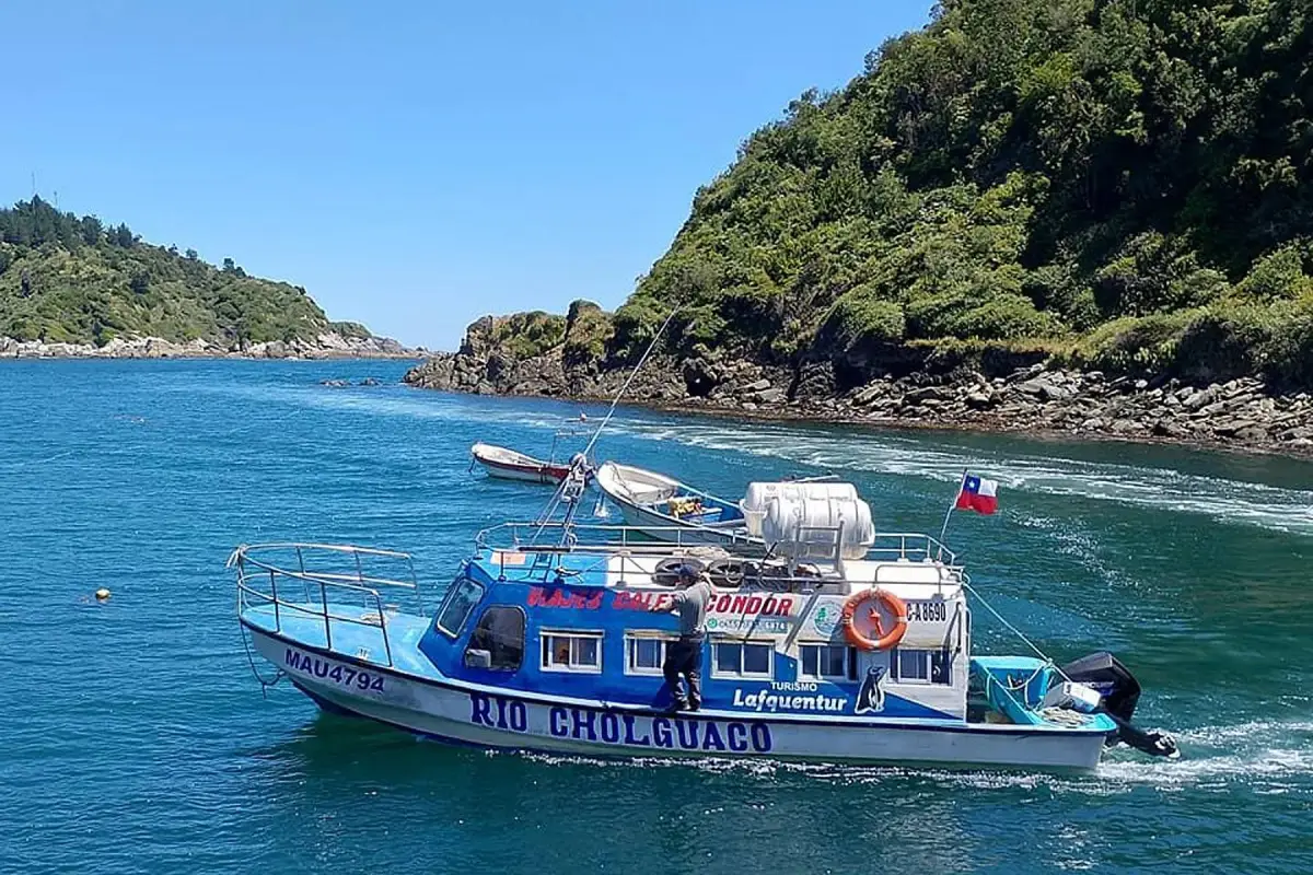 Trágico naufragio en Osorno , Redes sociales | X