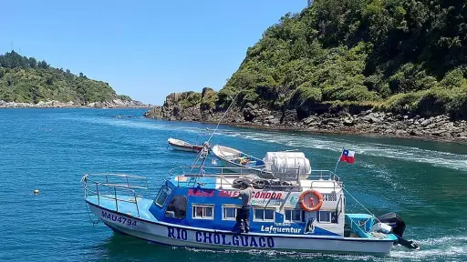 Trágico naufragio en Osorno , Redes sociales | X