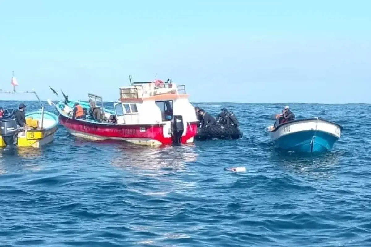 Naufragio en Osorno, Redes sociales | Referencial