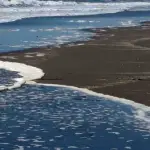 Esta sería la primera playa chilena en desaparecer , Redes sociales | Referencial