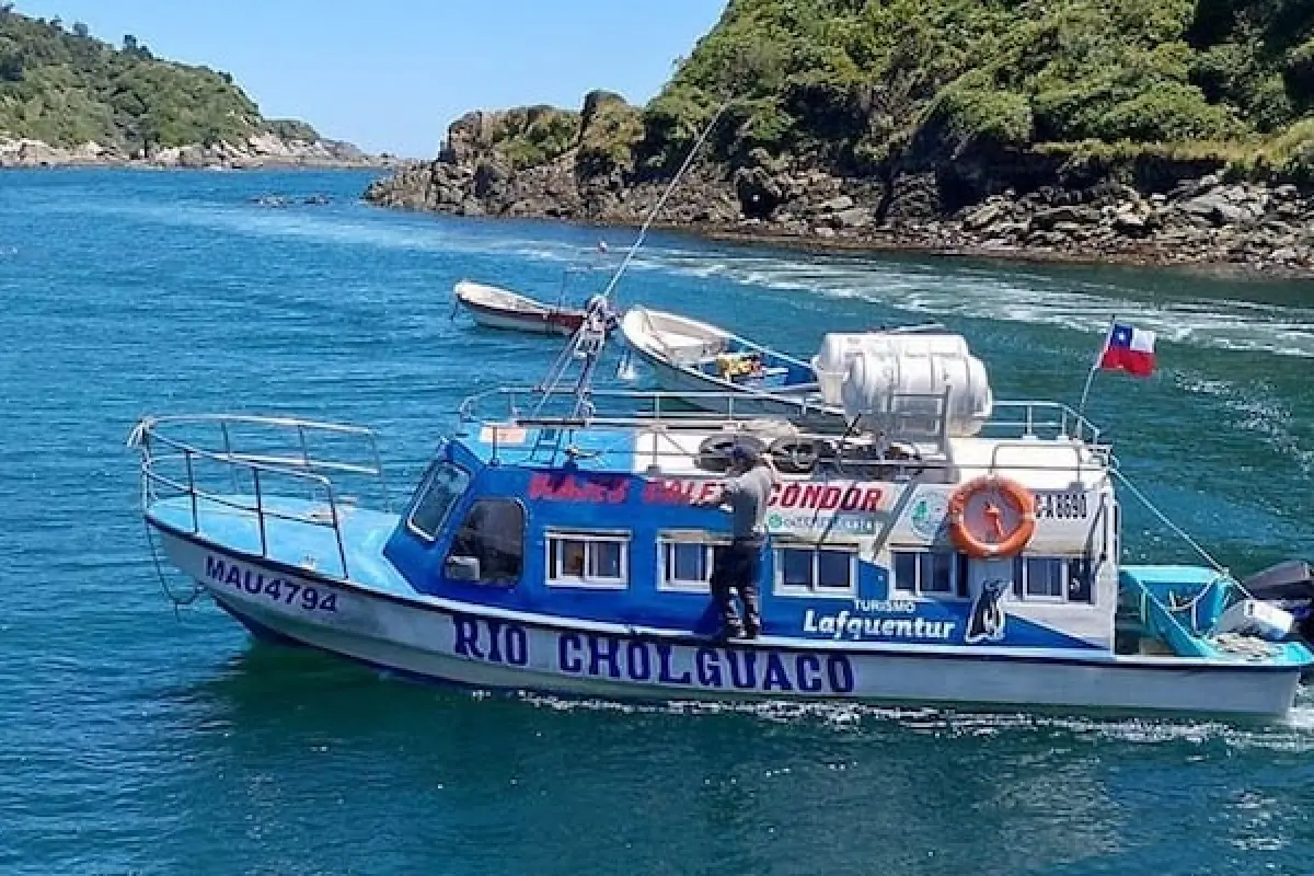 Bahía Mansa , Redes sociales 