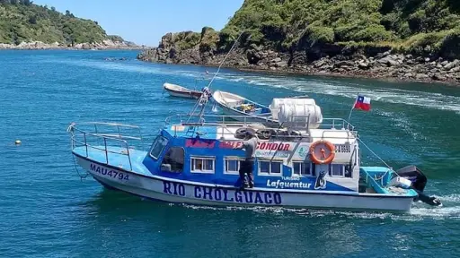 Bahía Mansa , Redes sociales 