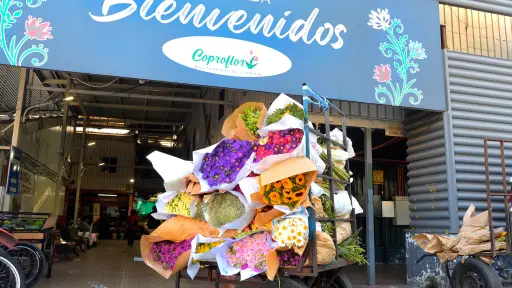 Mercado de las Flores, Cedida