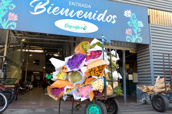 Mercado de las Flores ,Cedida