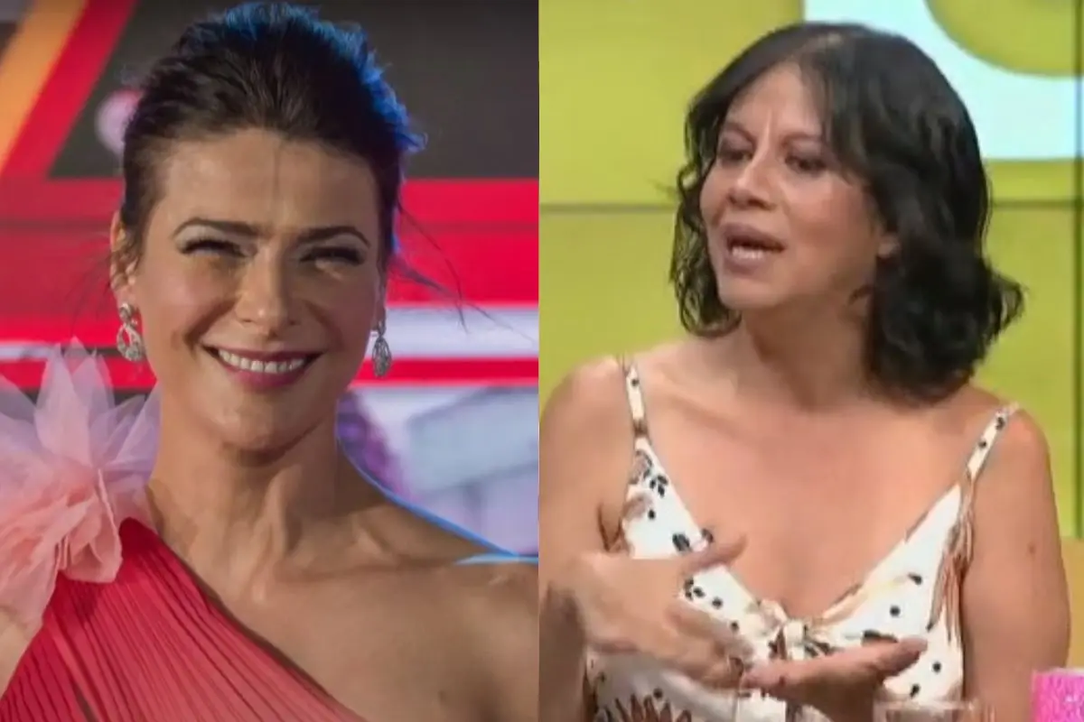 Tonka Tomicic tendría dinero en Brasil, Captura