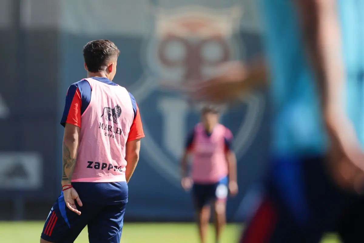 Zapping y Universidad de Chile, Cedida